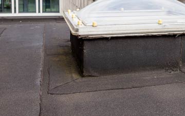 disadvantages of Seskinore flat roofs