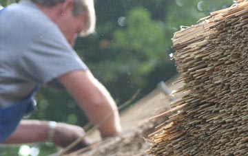 professional Seskinore thatchers